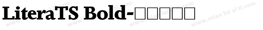 LiteraTS Bold字体转换